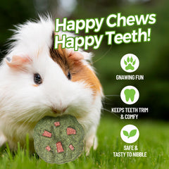 TEEWY Cookie Guinea Pig Toys: forma de dona divertida para masticar y explorar.