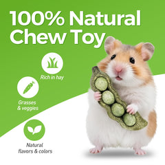 TEEWY juguetes vegetales naturales para masticar y enriquecer a tu mascota