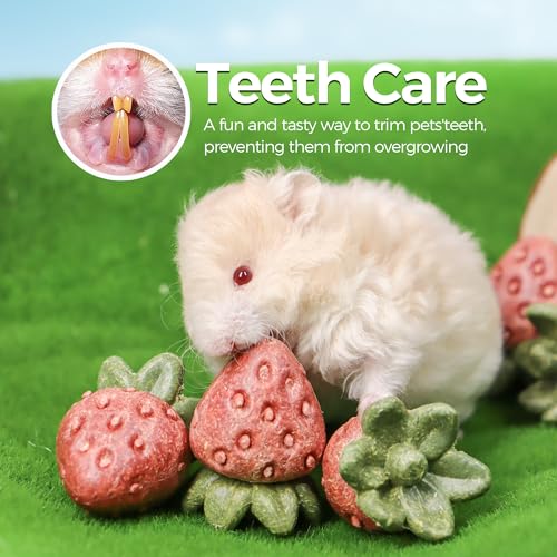 TEEWY mordedor fresa para roedores, favorece desgaste dental natural.