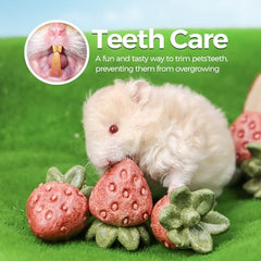 TEEWY mordedor fresa para roedores, favorece desgaste dental natural.