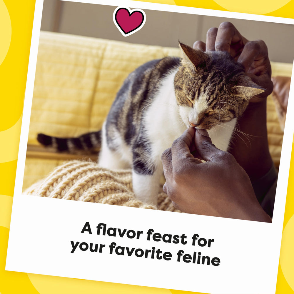 Gato motivado para jugar gracias a Temptations Surfer's Delight.