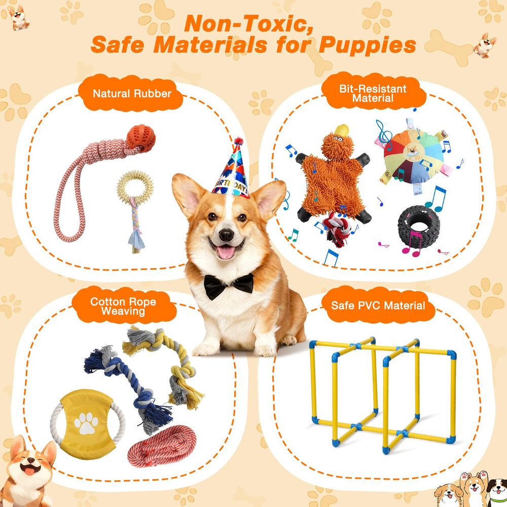 Materiales no tóxicos de Tengantongda para dientes y encías del cachorro.