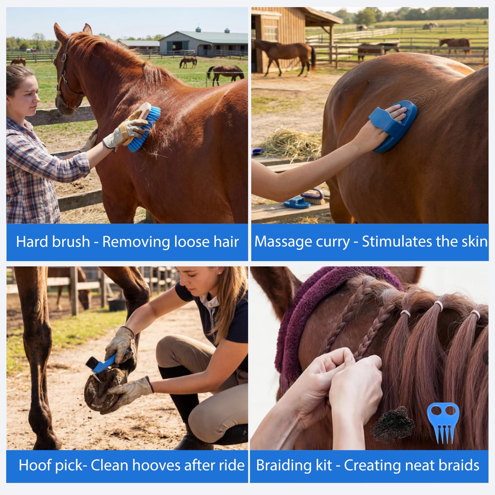 TERPUP cepillo duro para caballo, elimina suciedad y polvo con eficiencia.