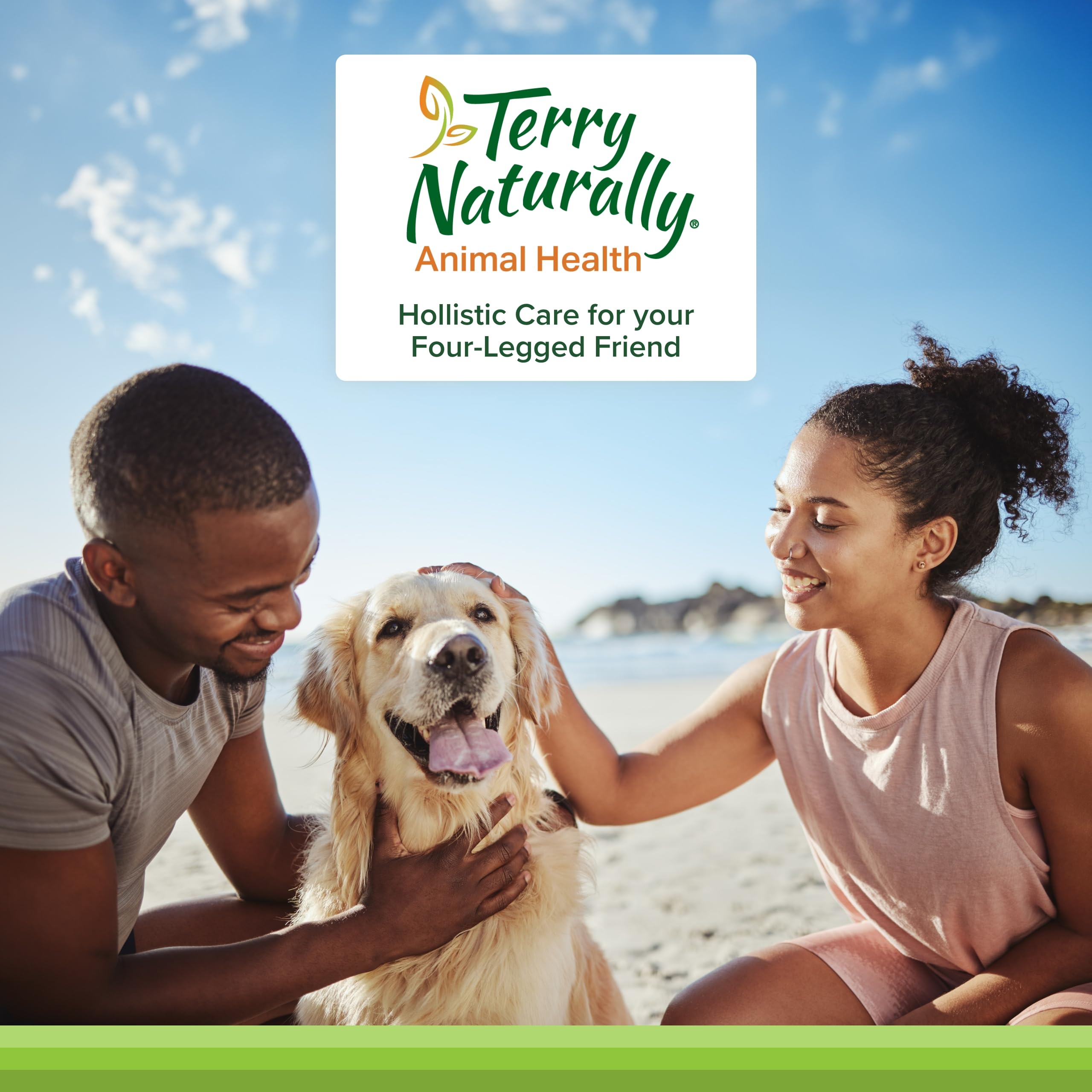 Guía de dosis diaria de masticables de Terry Naturally para perros.