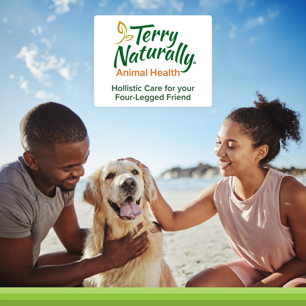 Guía de dosis diaria de masticables de Terry Naturally para perros.