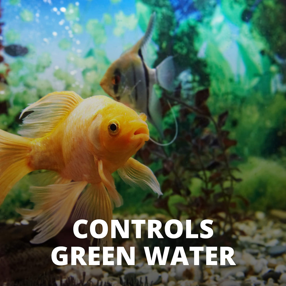 Tetra Algaecontrol: reducción de algas en cristal para acuario más limpio.