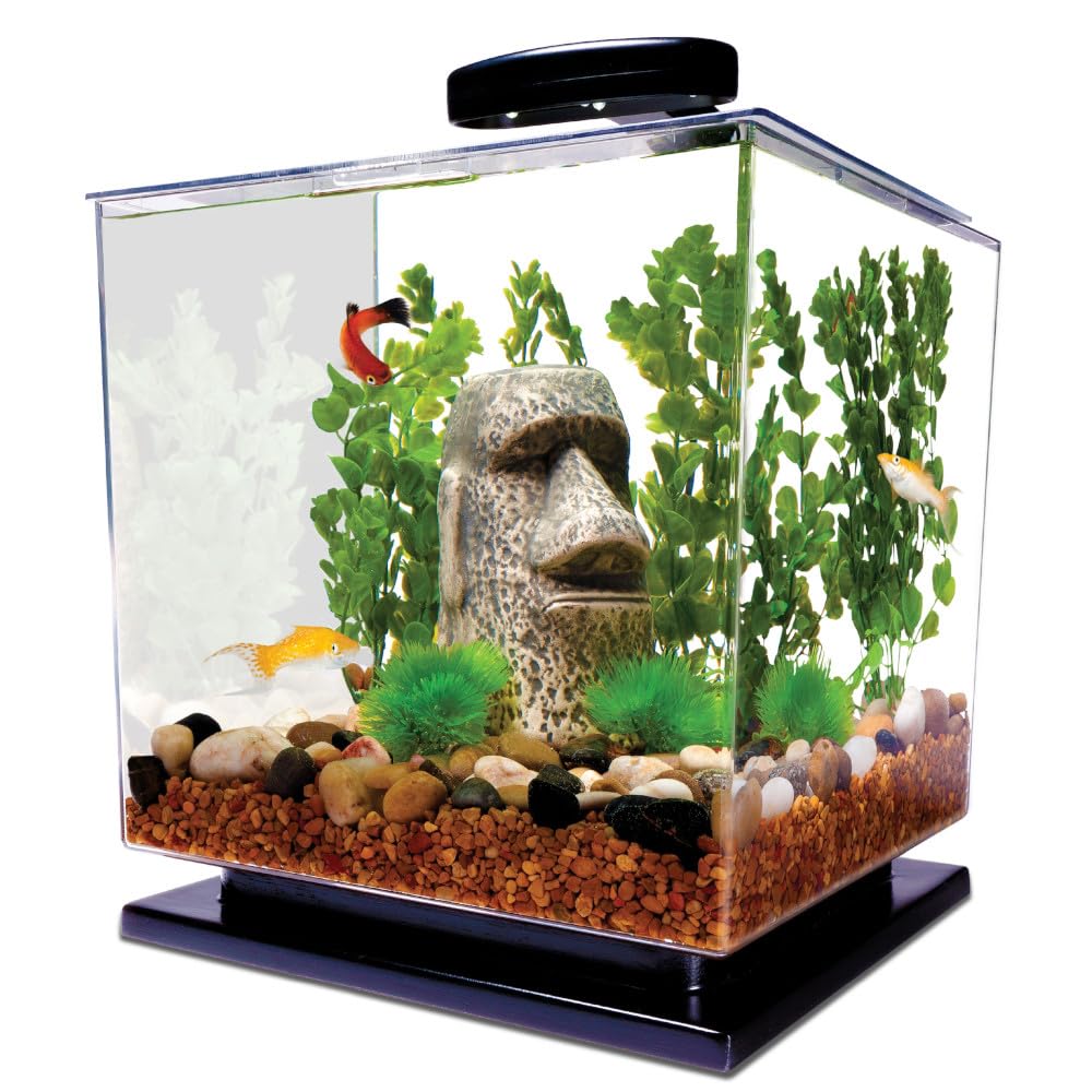 Tetra cubo de 3 galones con luz LED y vista panorámica para observar peces pequeños.