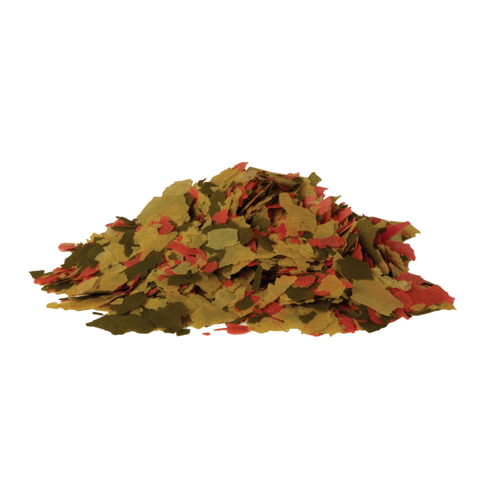Peces de distintos tamaños se benefician de TetraMarine Flakes.