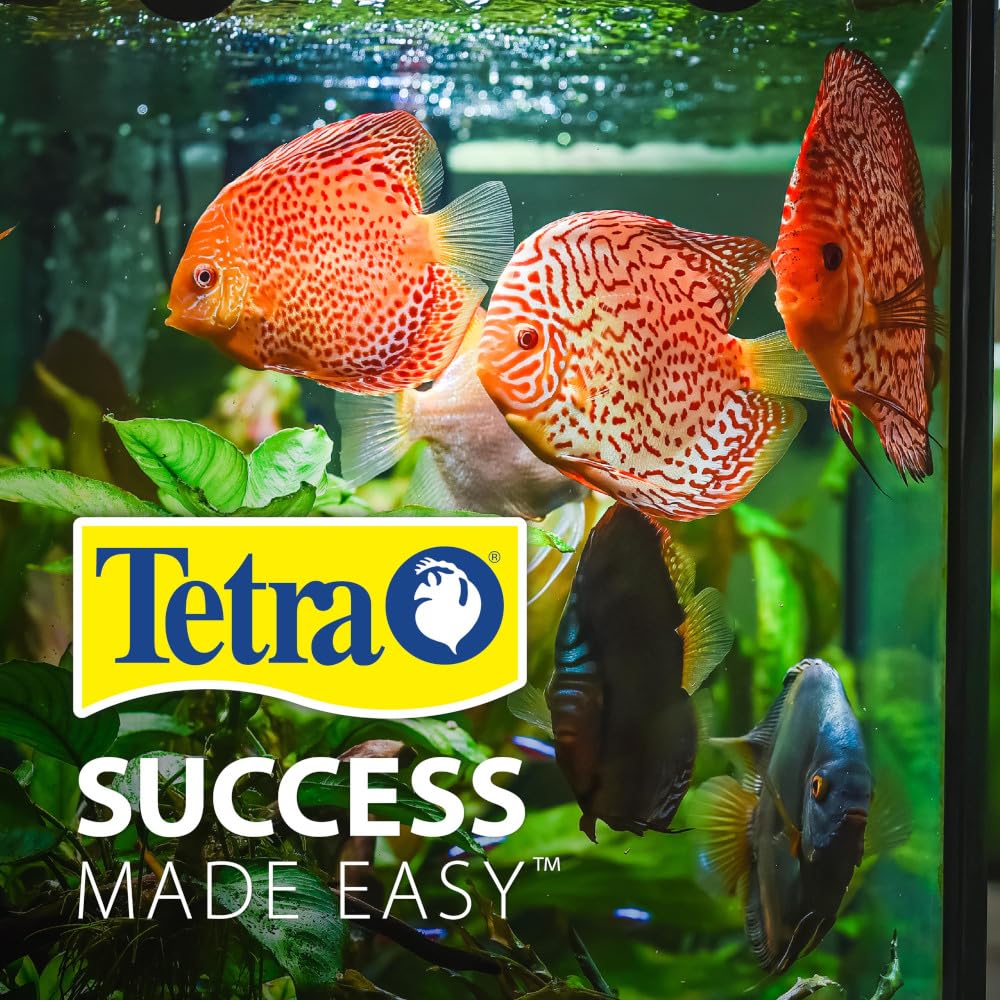 Tetra plástico claro resistente para una durabilidad a largo plazo.