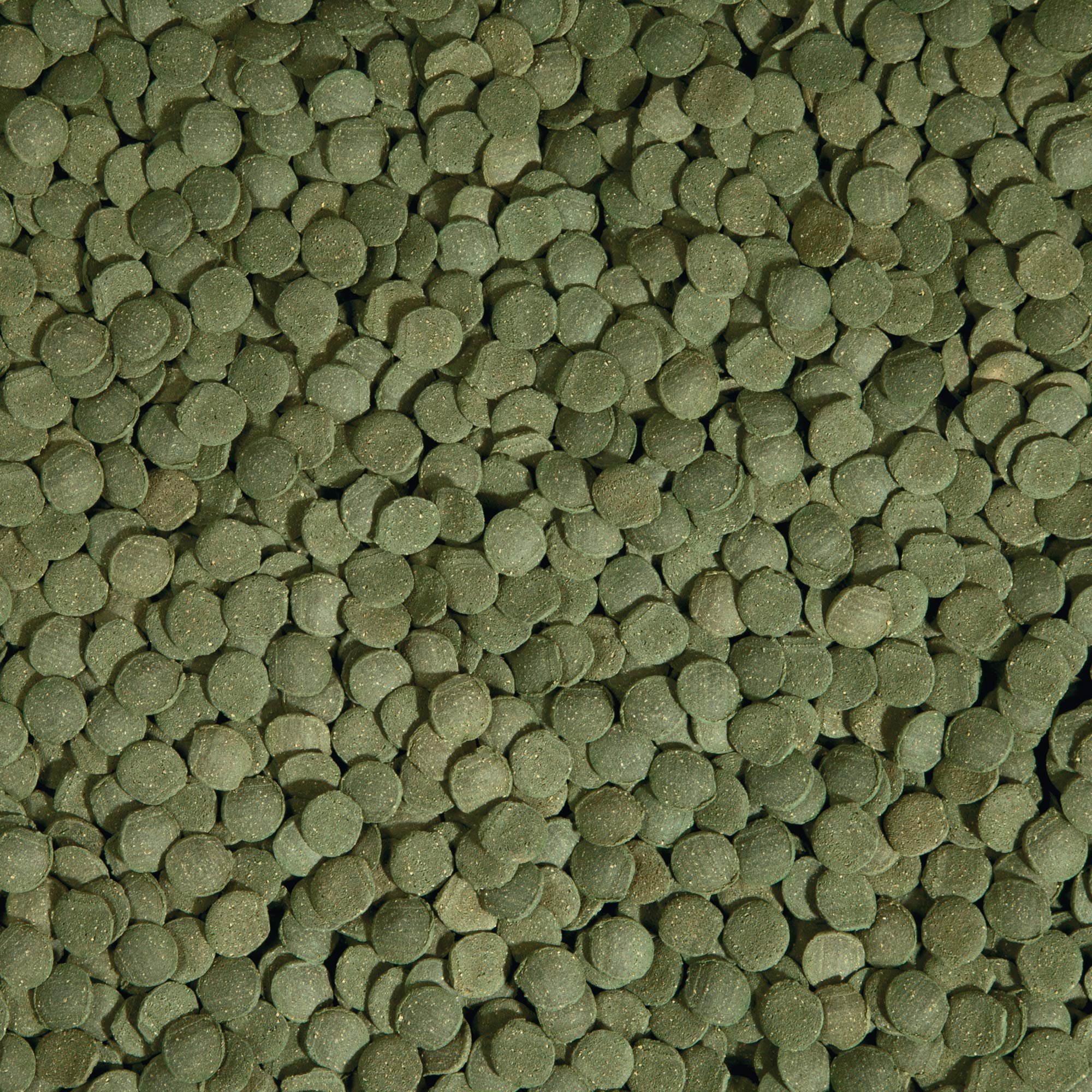 Tetra PlecoWafers en pecera, promueve nutrición diaria equilibrada para plecos.