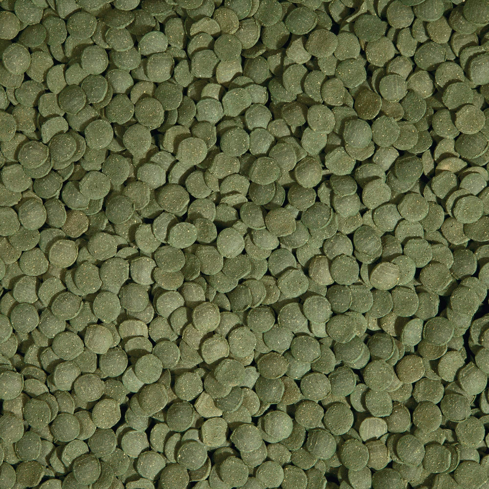 Tetra PlecoWafers en pecera, promueve nutrición diaria equilibrada para plecos.