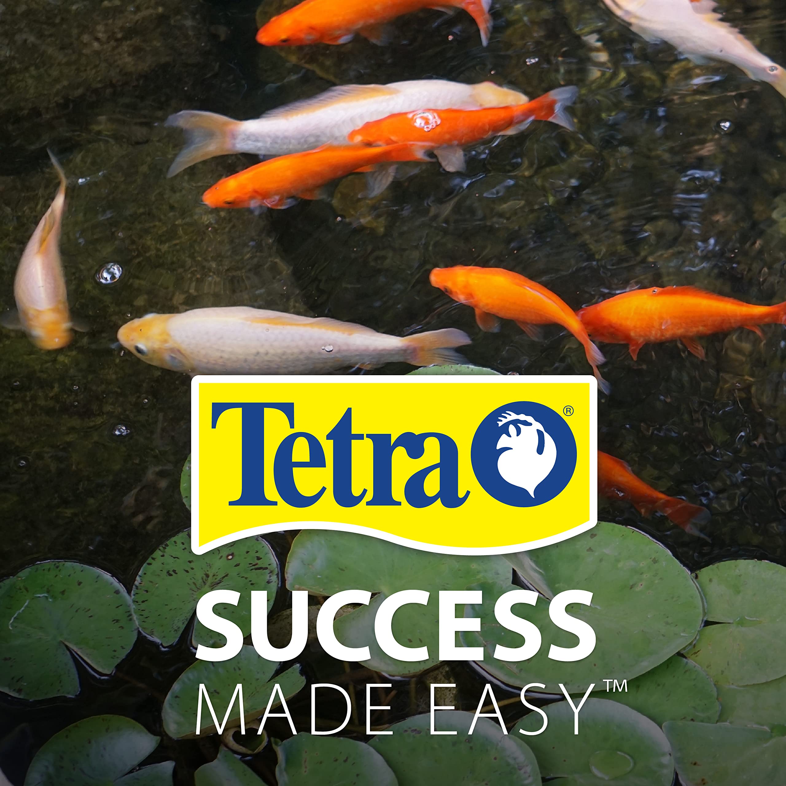 Tetra Pond AlgaeControl, agua mas clara tras tratamiento.