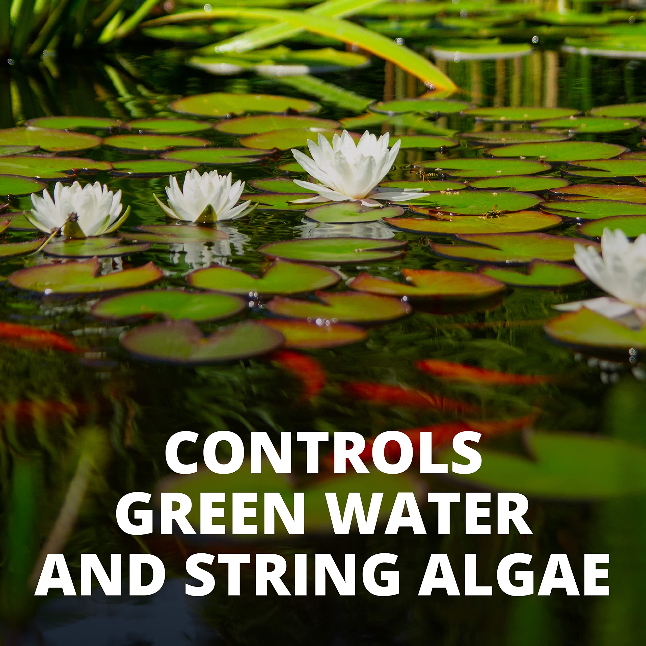 Tetra Pond AlgaeControl, combate algas filamentosas.