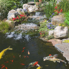 Tetra Pond Alimento en palitos suaves facilita digestión para peces de estanque.