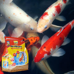 TetraPond Koi Vibrance digestión suave que facilita la vida acuática.