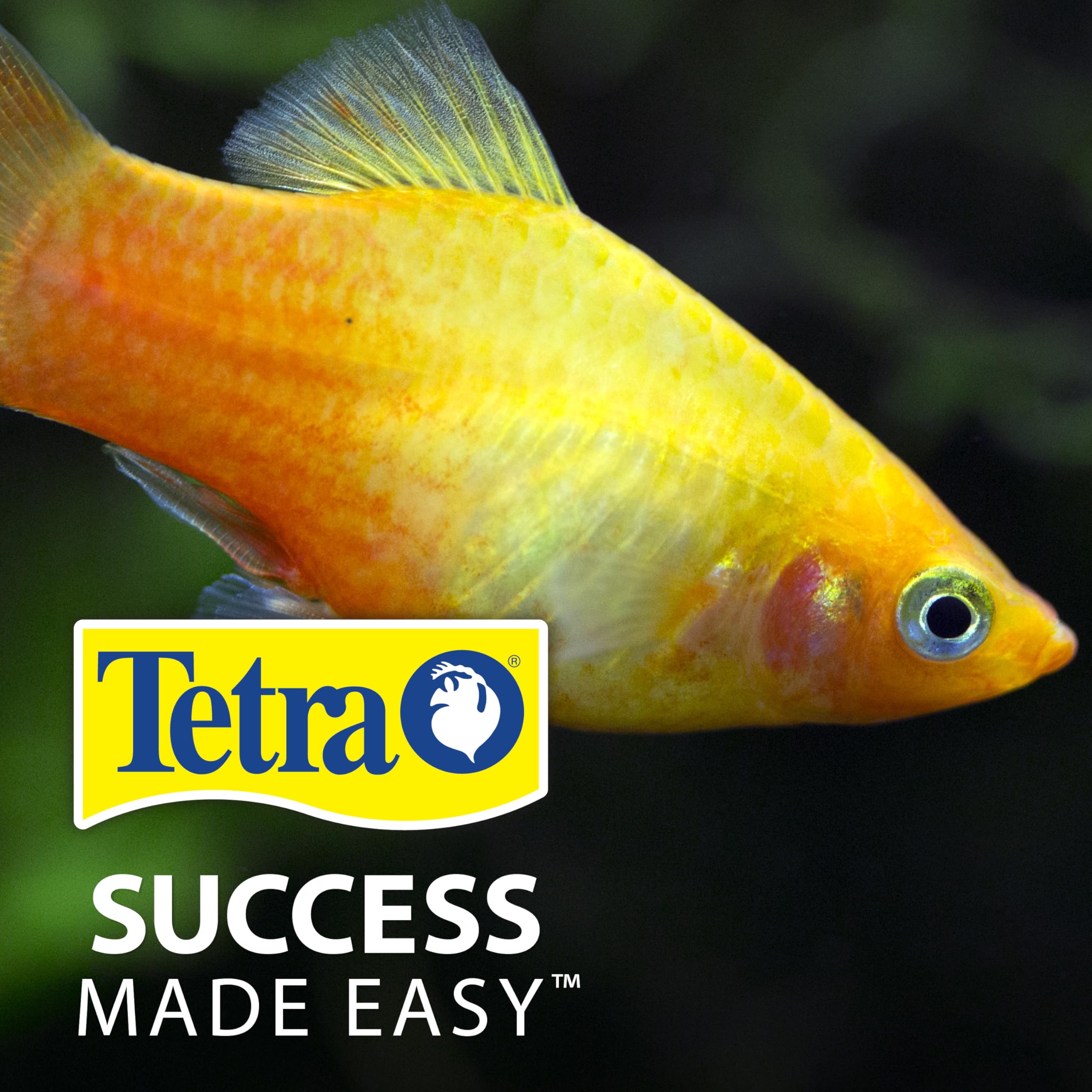 TetraPRO Color Crisps: contiene biotina para apoyar el sistema inmunológico de los peces.