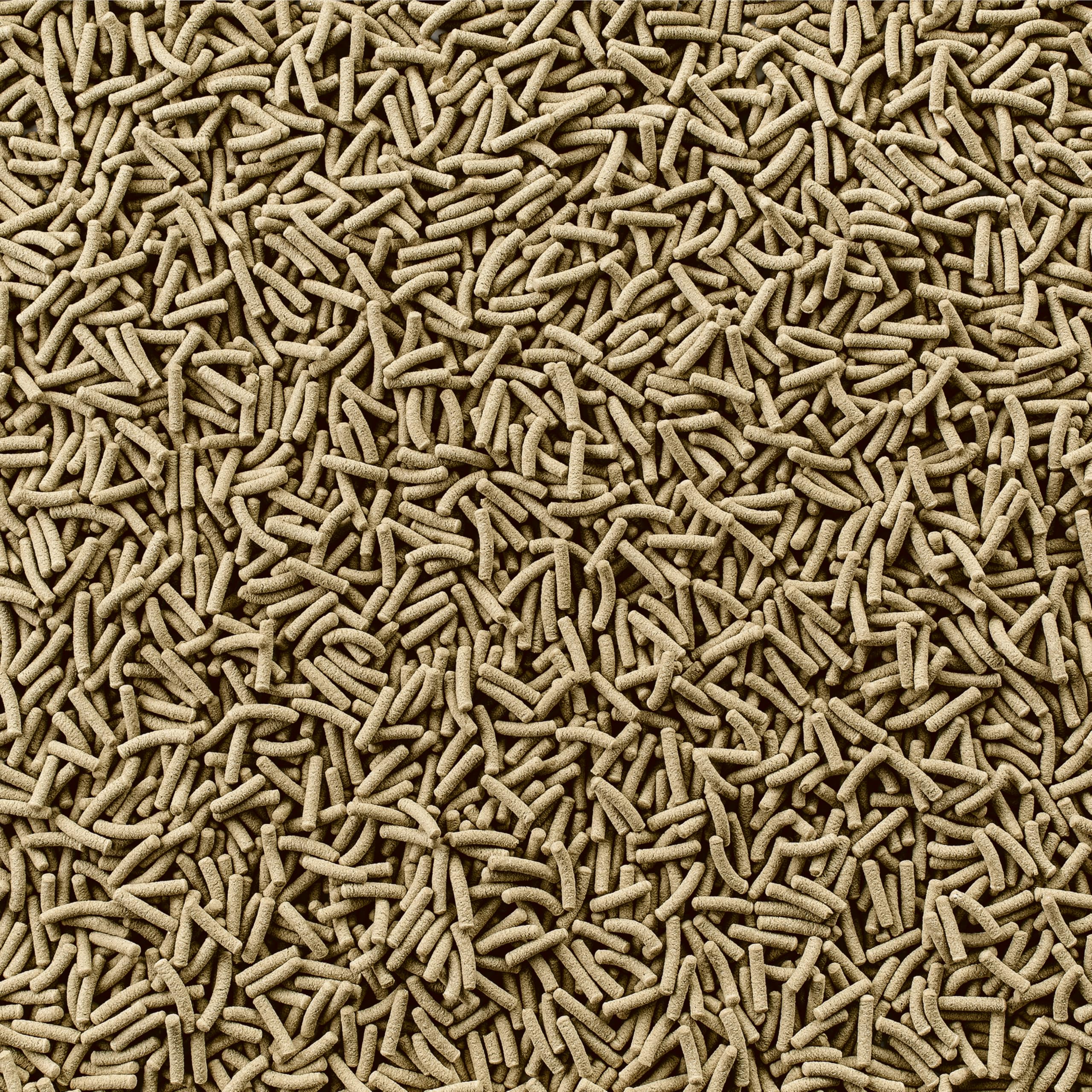 Tetra ReptoMin, palitos flotantes para tritones, ingestión fácil.