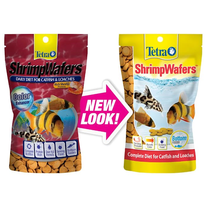 Tetra ShrimpWafers wafers hundiéndose, alimentación de fondo eficiente para peces.