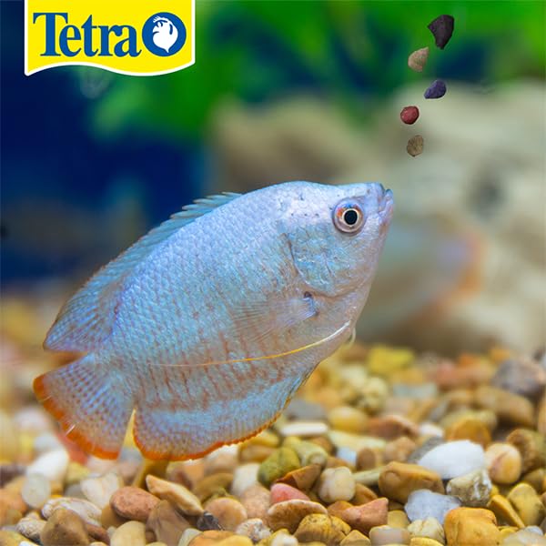 Tetra TetraMin Tropical Granules, hundimiento lento, perfecto para peces jóvenes y tímidos.