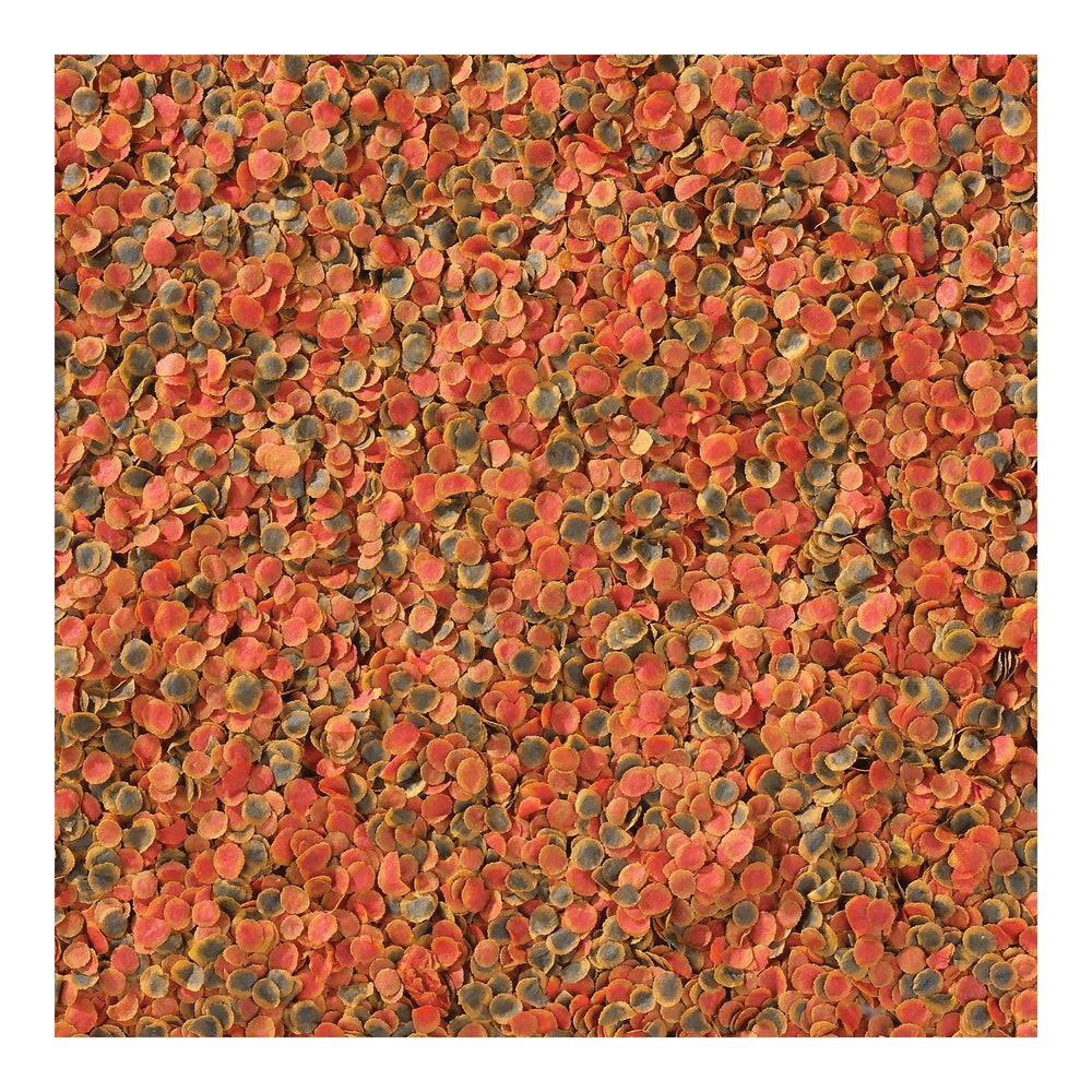 Complemento de camarones para variar textura y sabor en la alimentación.