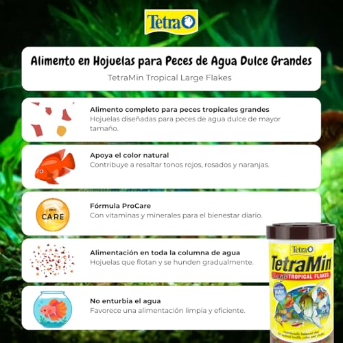 Envase original de Tetramin XL Tropical Flakes para alimentación diaria