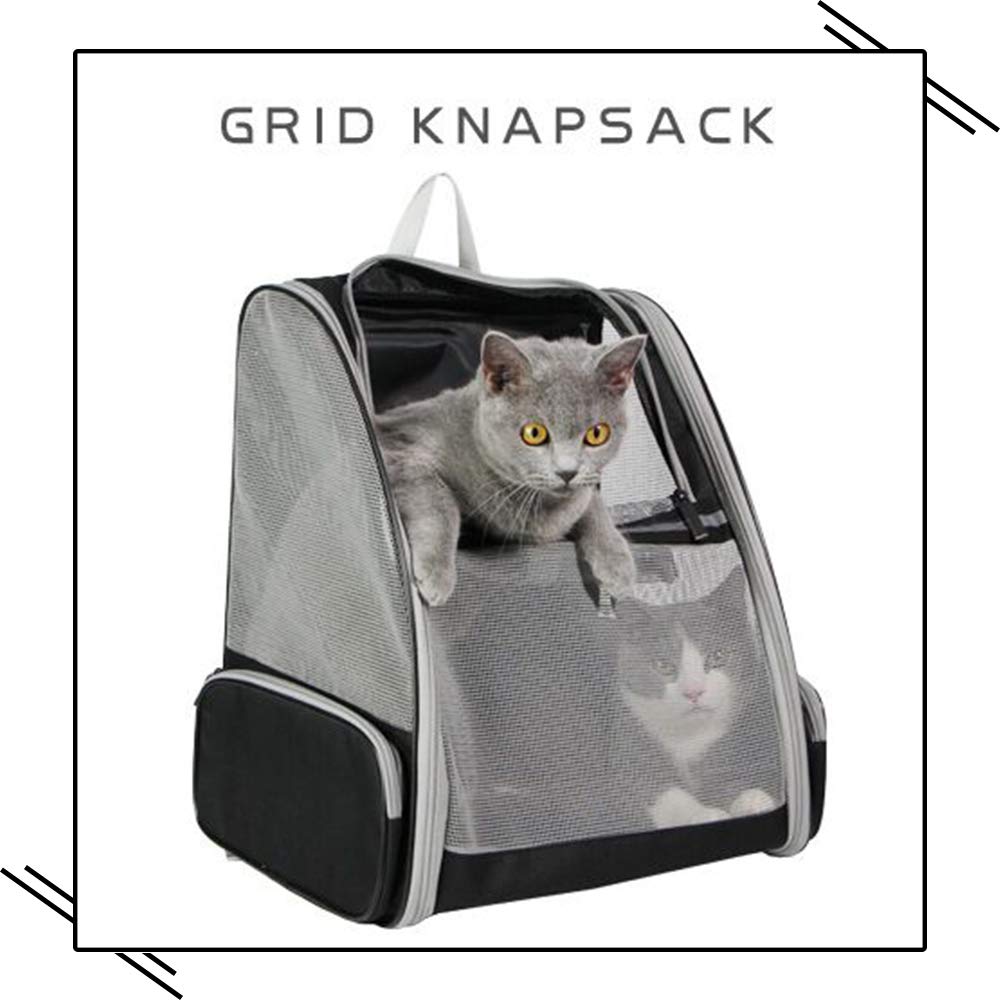 Texsens Mochila Burbuja para Mascotas con dimensiones adecuadas para viaje.