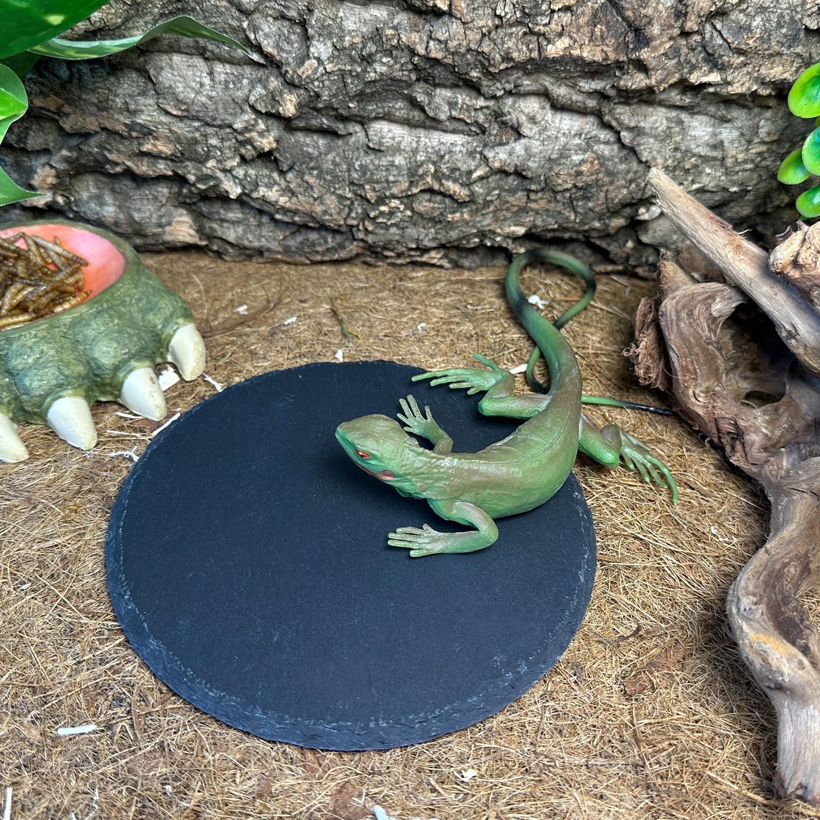 Tfwadmx roca con absorción de agua para humedad suave durante el baño del reptil.