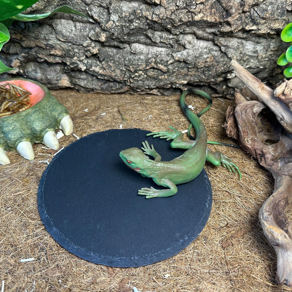 Tfwadmx roca con absorción de agua para humedad suave durante el baño del reptil.