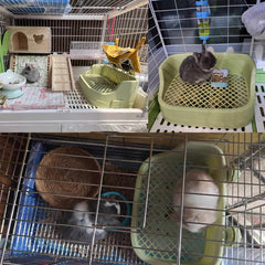 TFWADMX caja de arena con rejilla grande para patitas seguras y limpieza más fácil