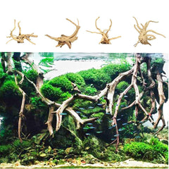 Tfwadmx Madera de deriva para acuario, se asienta en el fondo para un aspecto estable.