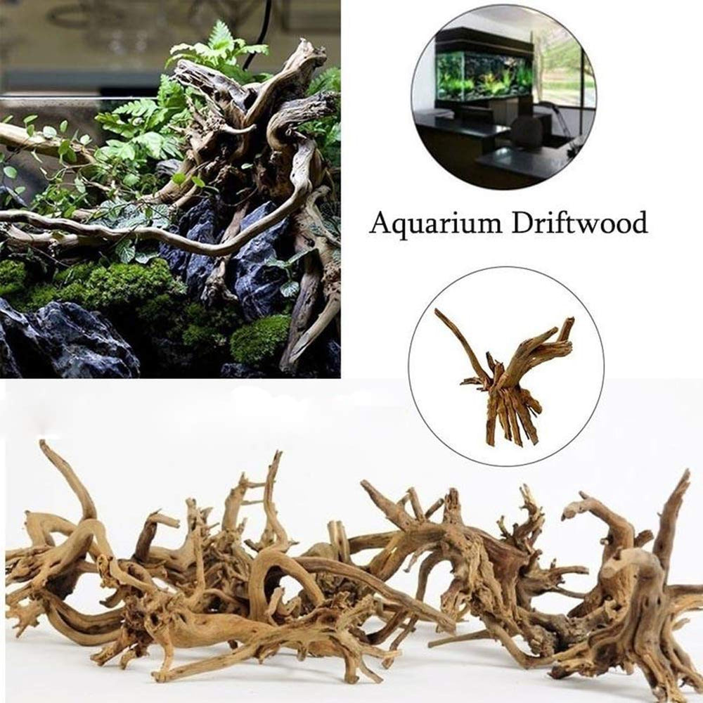 Tfwadmx Madera de deriva para terrario y acuario, diseño versátil.