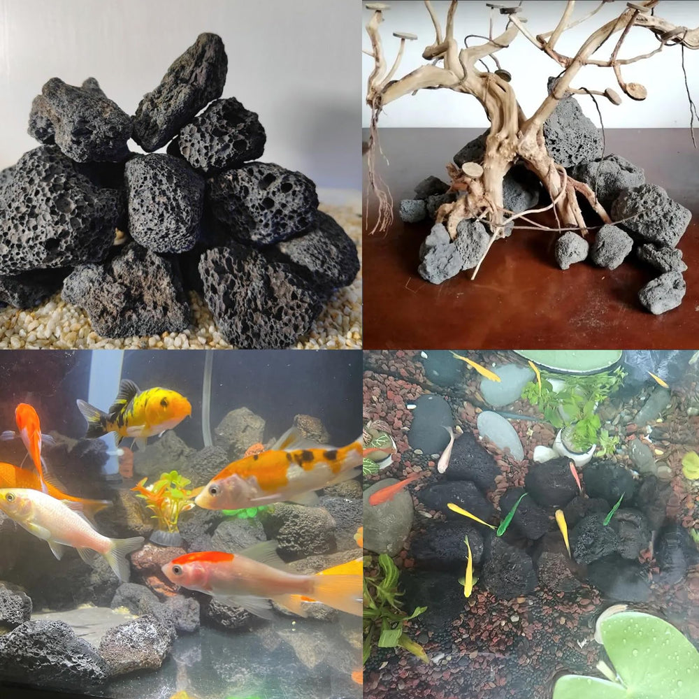 Las piedras con poros facilitan un área de colonización en el acuario.