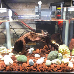 Piedras lava roja de Tfwadmx, textura única para acuario y terrario.