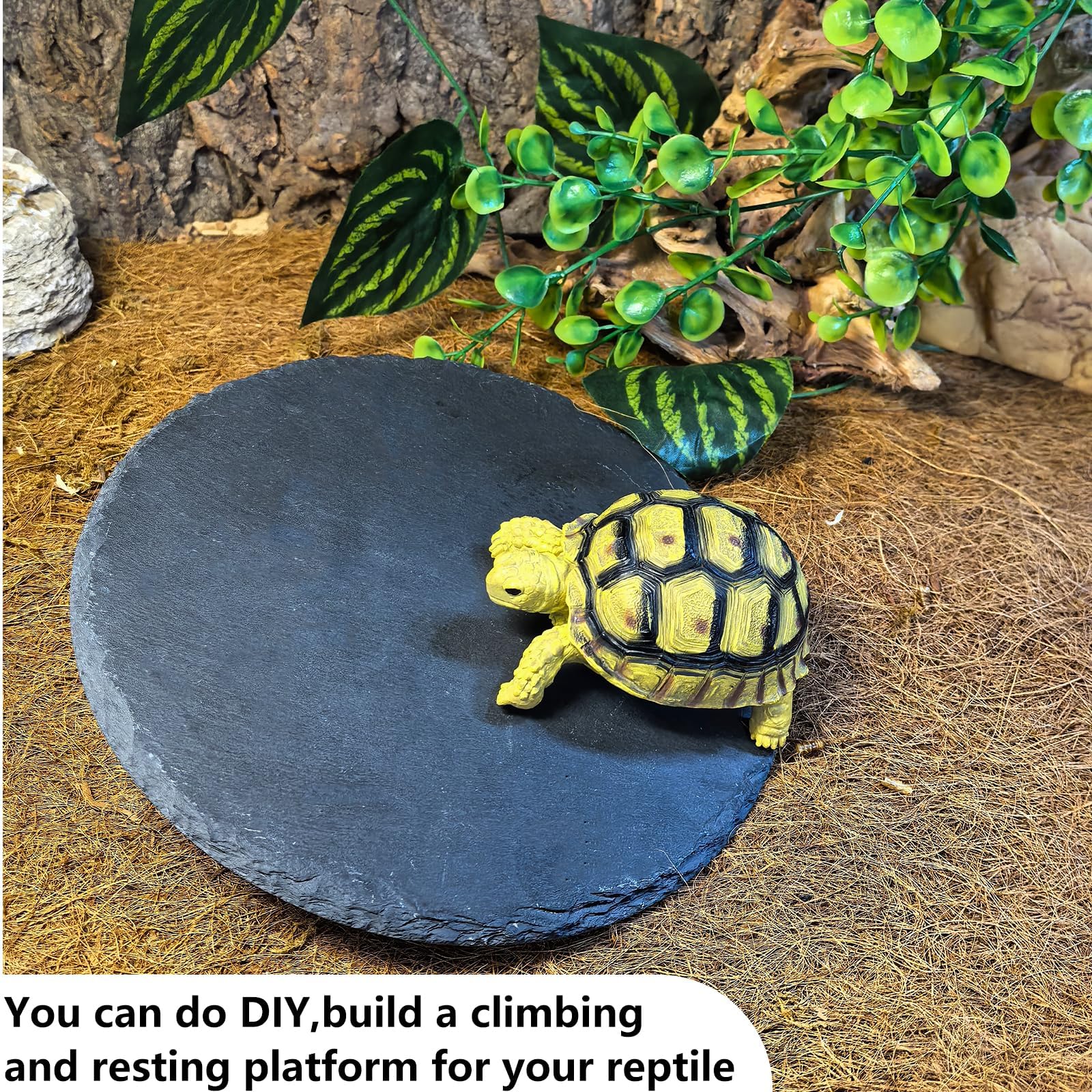 Tfwadmx plataforma de roca para terrario, base estable para reptiles pequeños.
