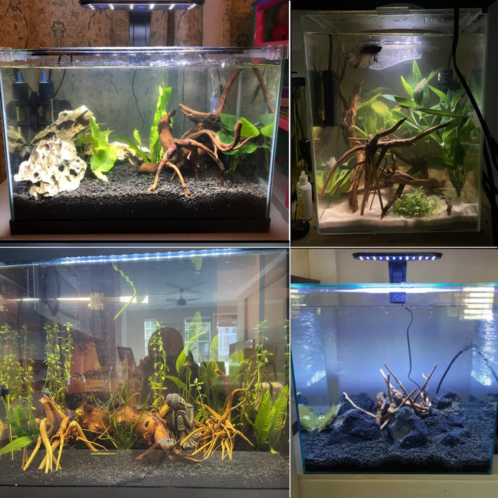 Tfwadmx Madera de deriva para acuario, refugio seguro para peces pequeños y gambas.