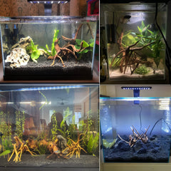 Tfwadmx Madera de deriva para acuario, refugio seguro para peces pequeños y gambas.
