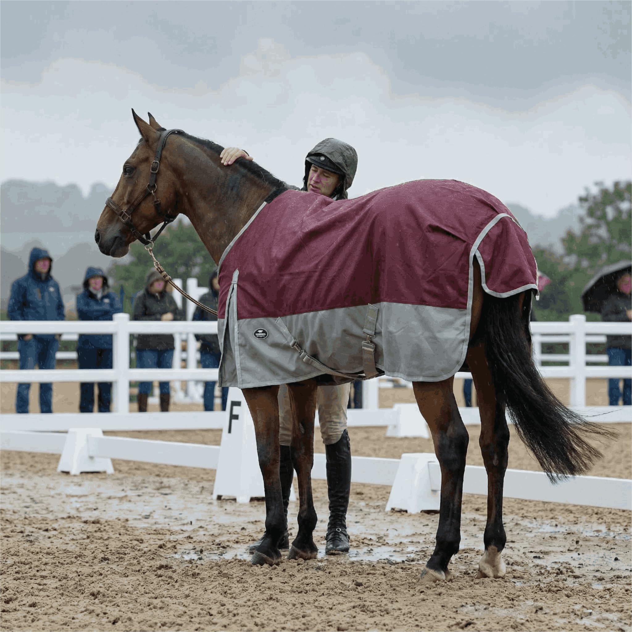 Tejido resistente a desgarros en TGW RIDING mantiene al caballo seco.