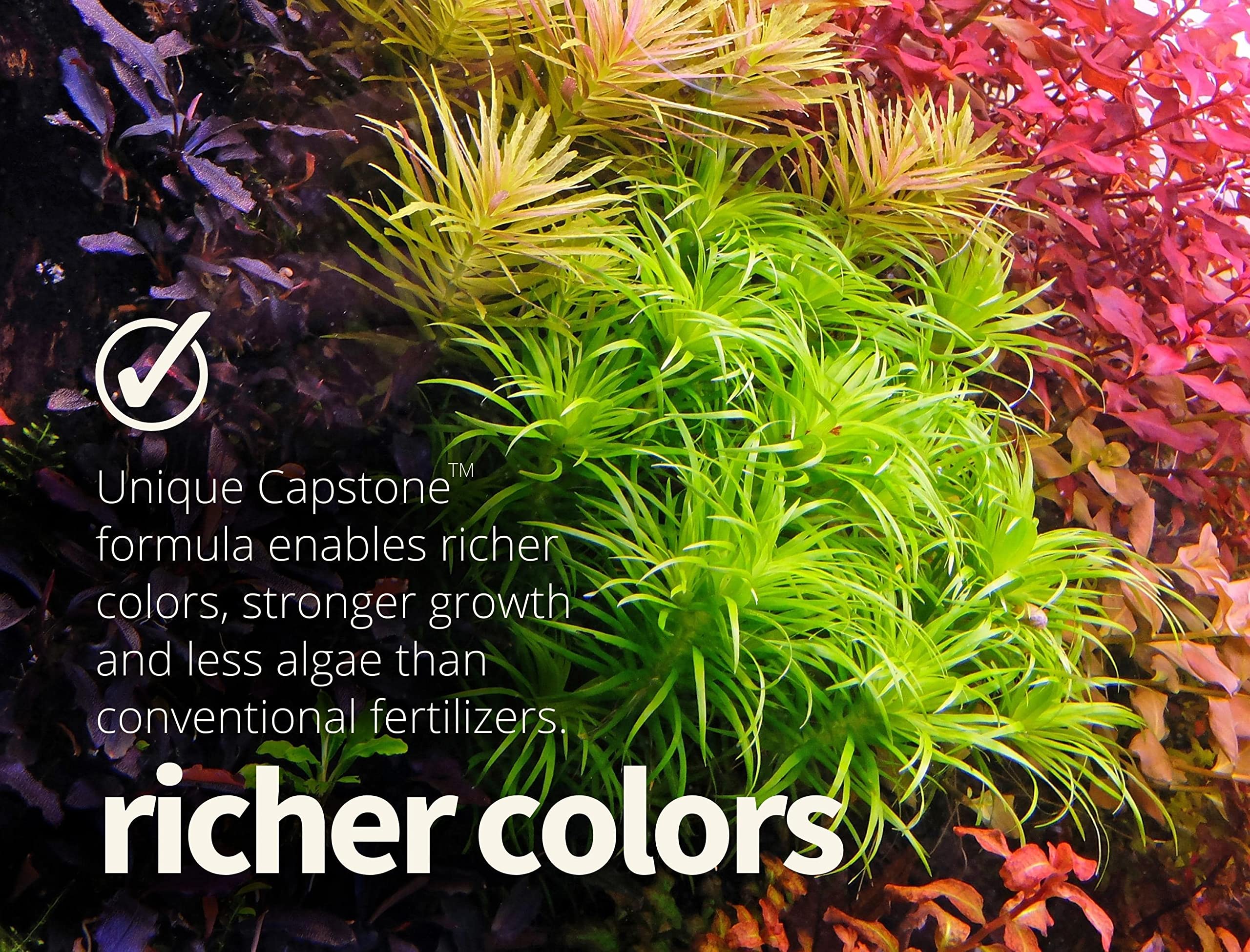 Enfoque macro y micro de THE 2HR AQUARIST APT3 para crecimiento saludable.