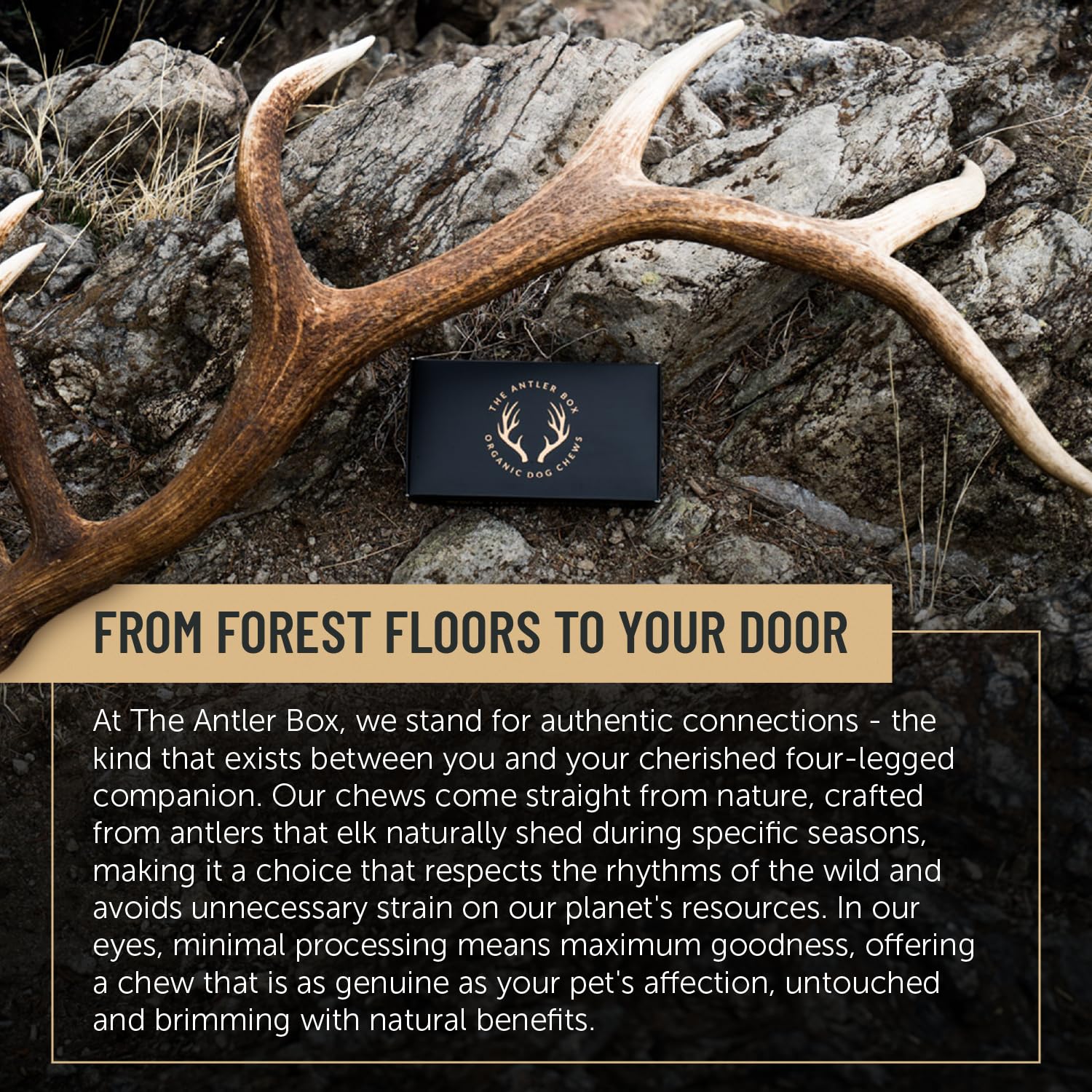 THE ANTLER BOX empaque de 1 libra, formato práctico para hogares con perros