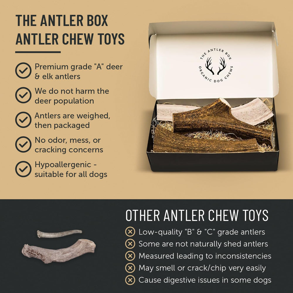 THE ANTLER BOX contiene glucosamina y minerales para el cuidado natural