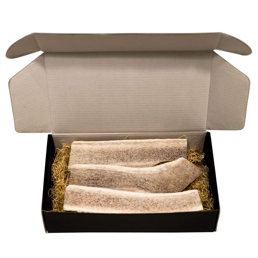 THE ANTLER BOX masticables, pieza grande dividida para masticación controlada