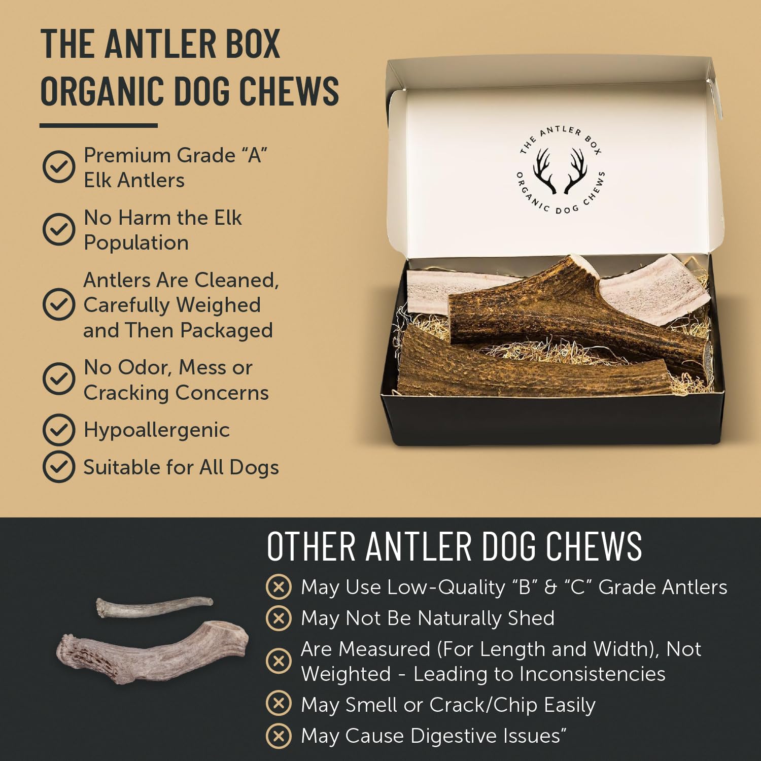 THE ANTLER BOX masticables ricos en calcio y fósforo para soporte óseo