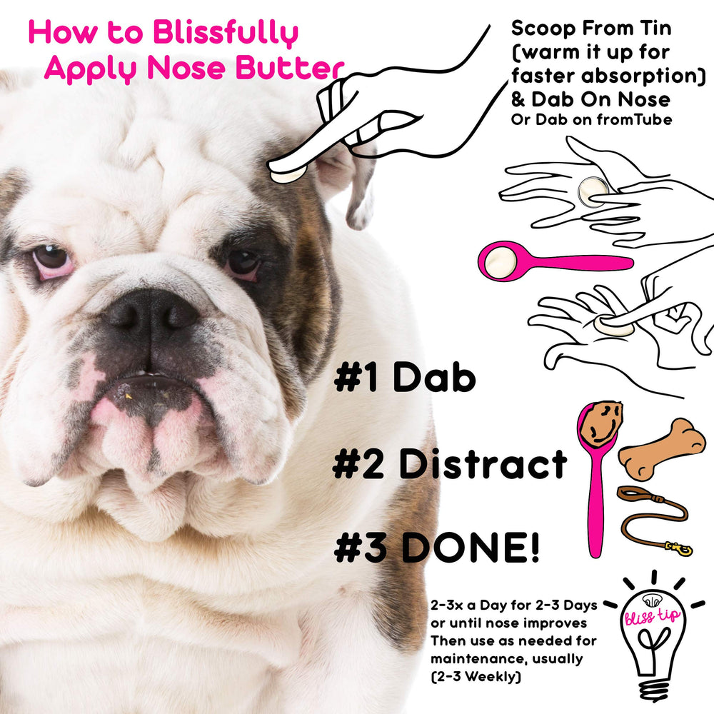 Cuidado diario para todas las razas con The Blissful Dog Bulldog Nose Butter.