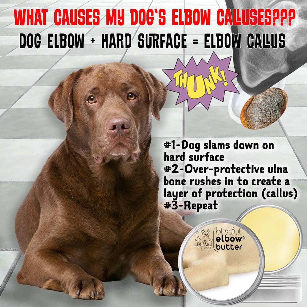 Cuidado diario de codos secos con The Blissful Dog Elbow Butter
