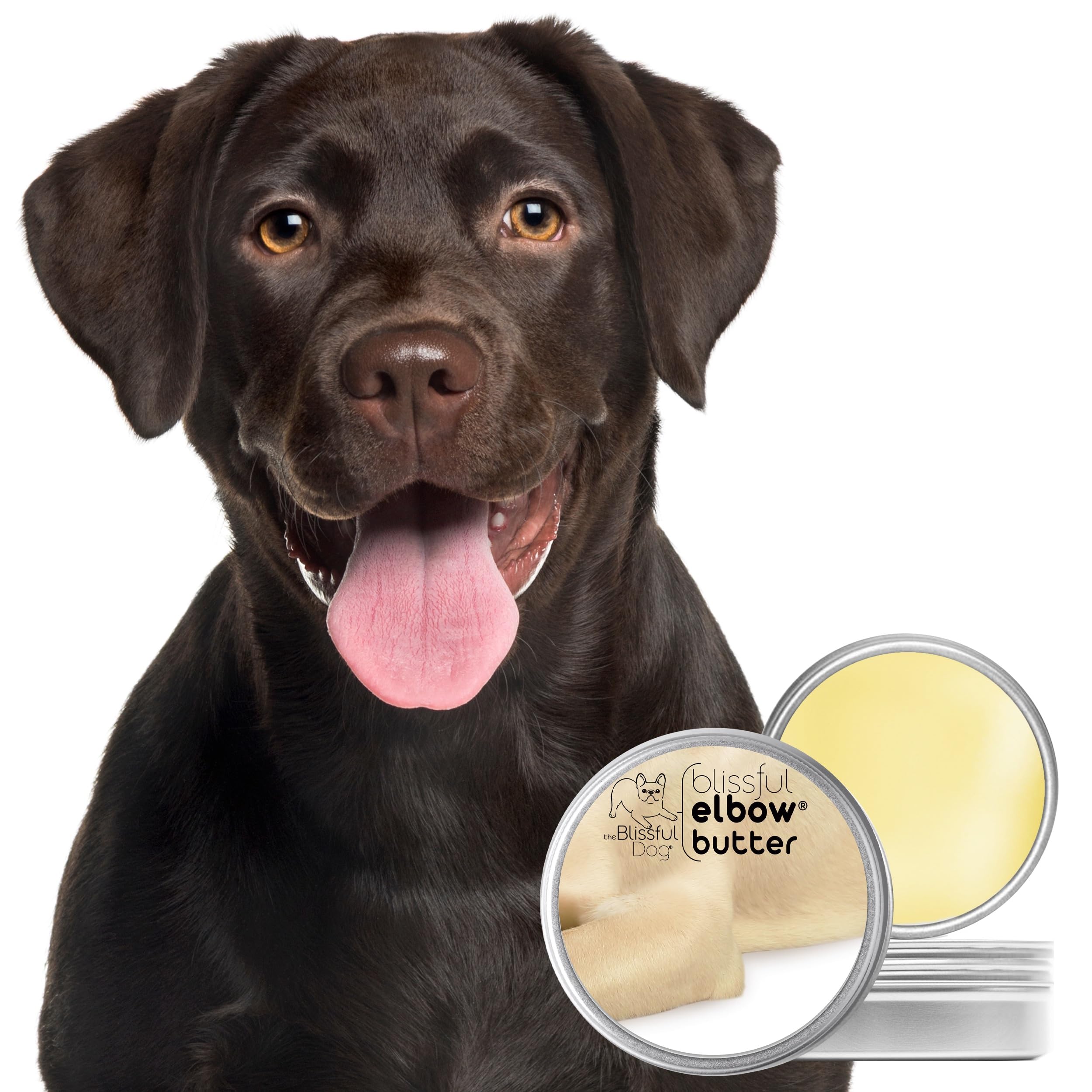 Textura cremosa de The Blissful Dog Elbow Butter para aplicación suave