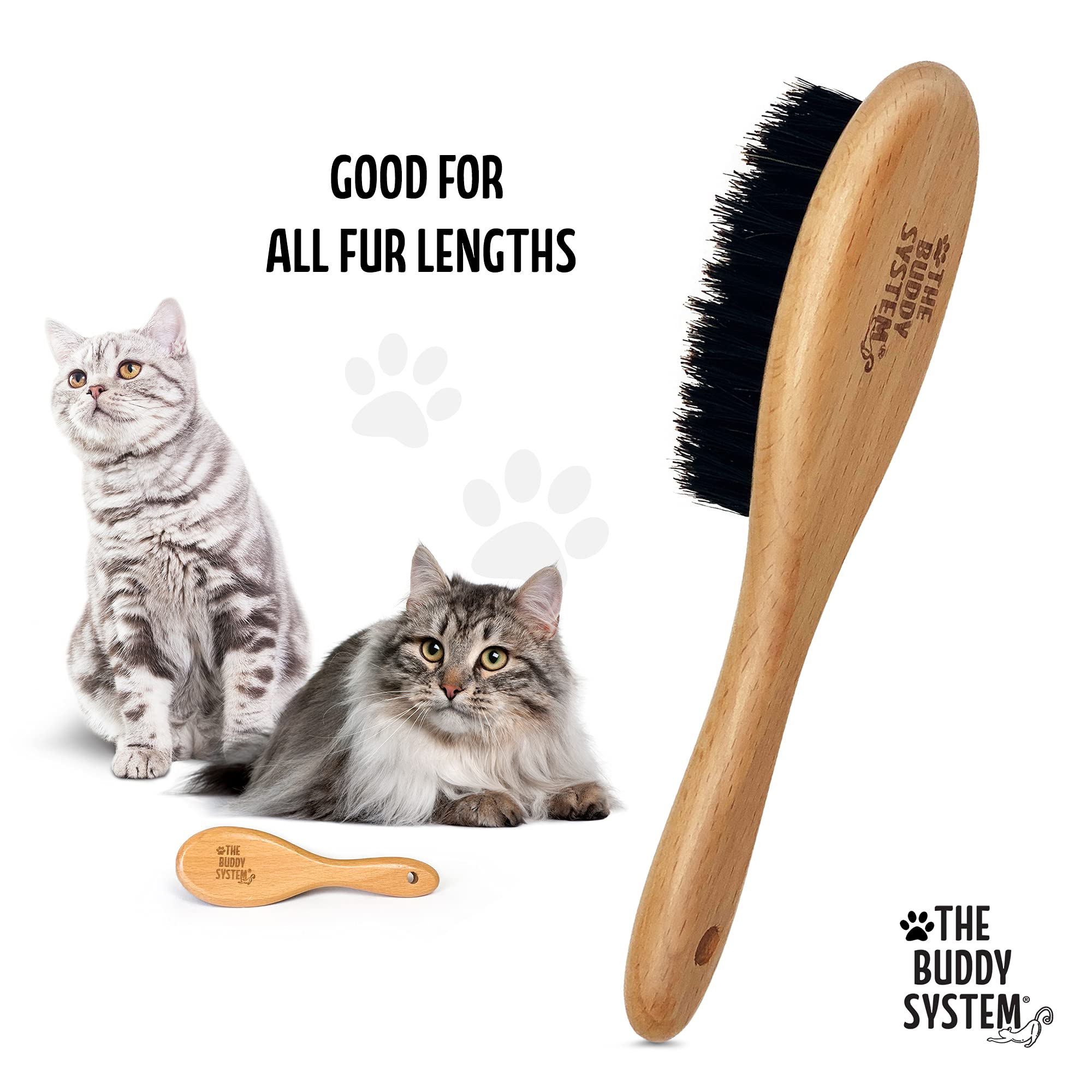 The Buddy System brosse poils sanglier – approche douce pour réduire la chute des poils.