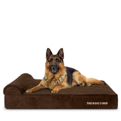 La cama ortopédica The Dog's Balls para perros grandes con espuma de memoria y soporte.