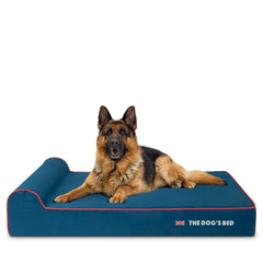 The Dog's Balls cama ortopédica para perros grandes con reposacabezas