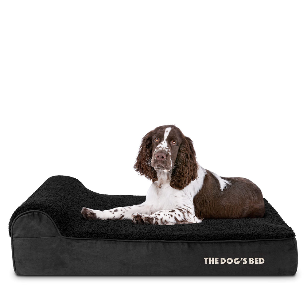 The Dog's Balls mantenimiento sencillo para uso diario