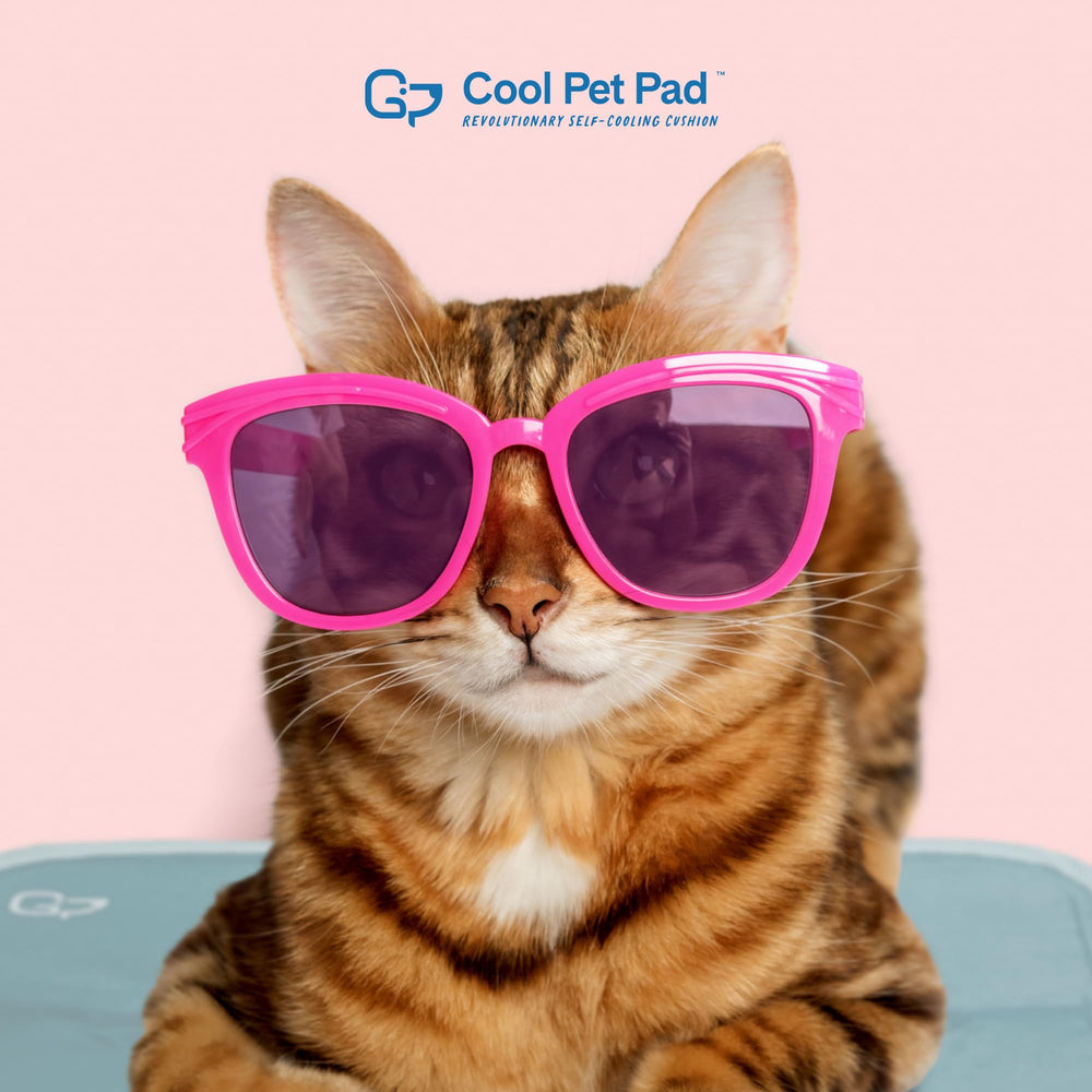 The Green Pet Shop Cool Pet Pad fácil de limpiar a mano